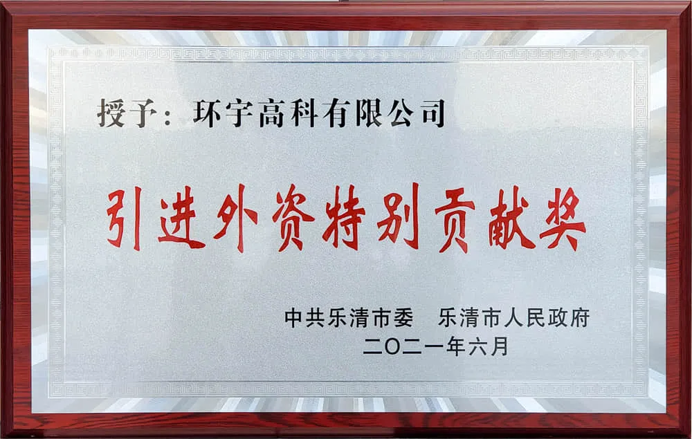 Special Contribution Award